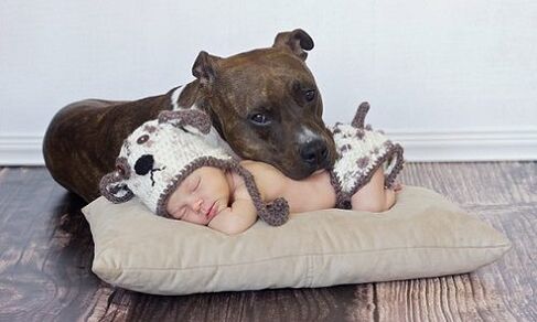 Дете с куче